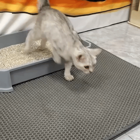 Tapis de litière double couche anti-dispersion