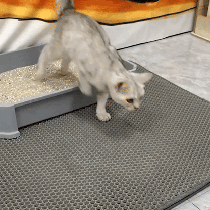 Tapis de litière double couche anti-dispersion