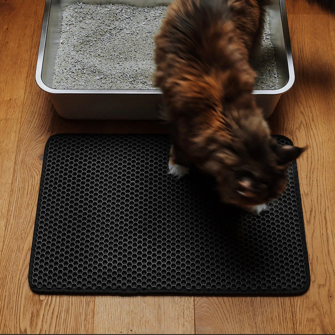 Tapis de litière double couche anti-dispersion