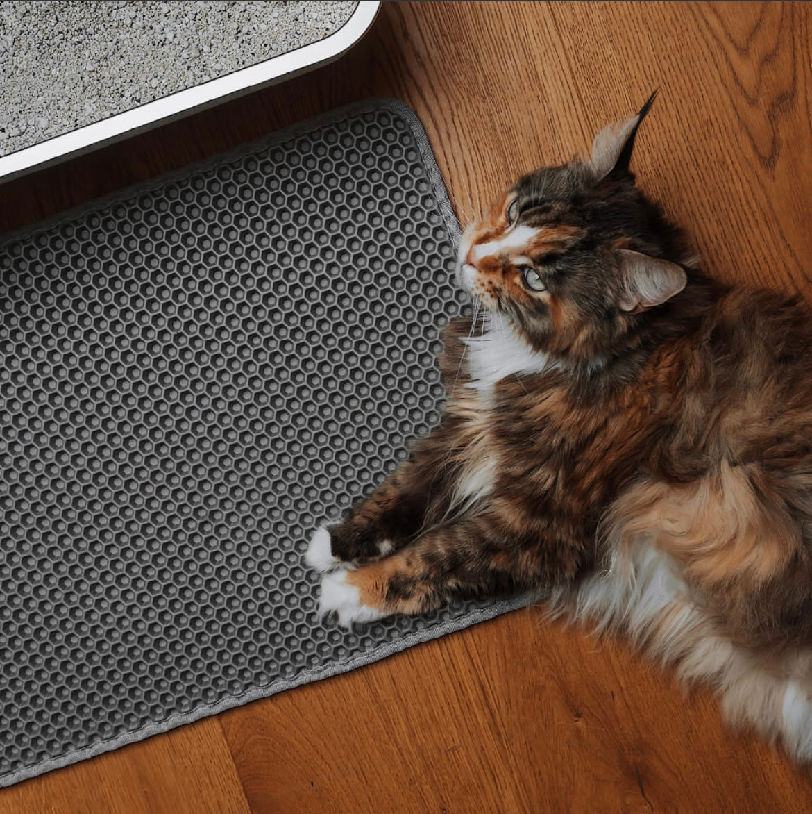 Tapis de litière double couche anti-dispersion