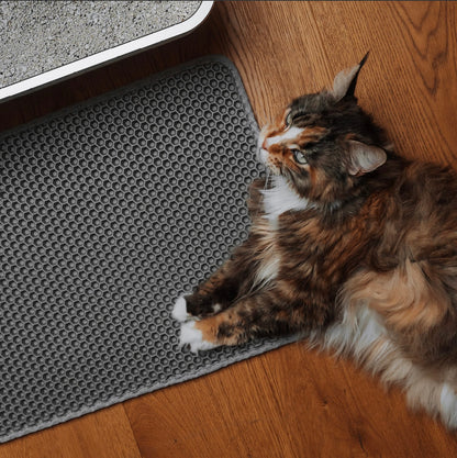 Tapis de litière double couche anti-dispersion