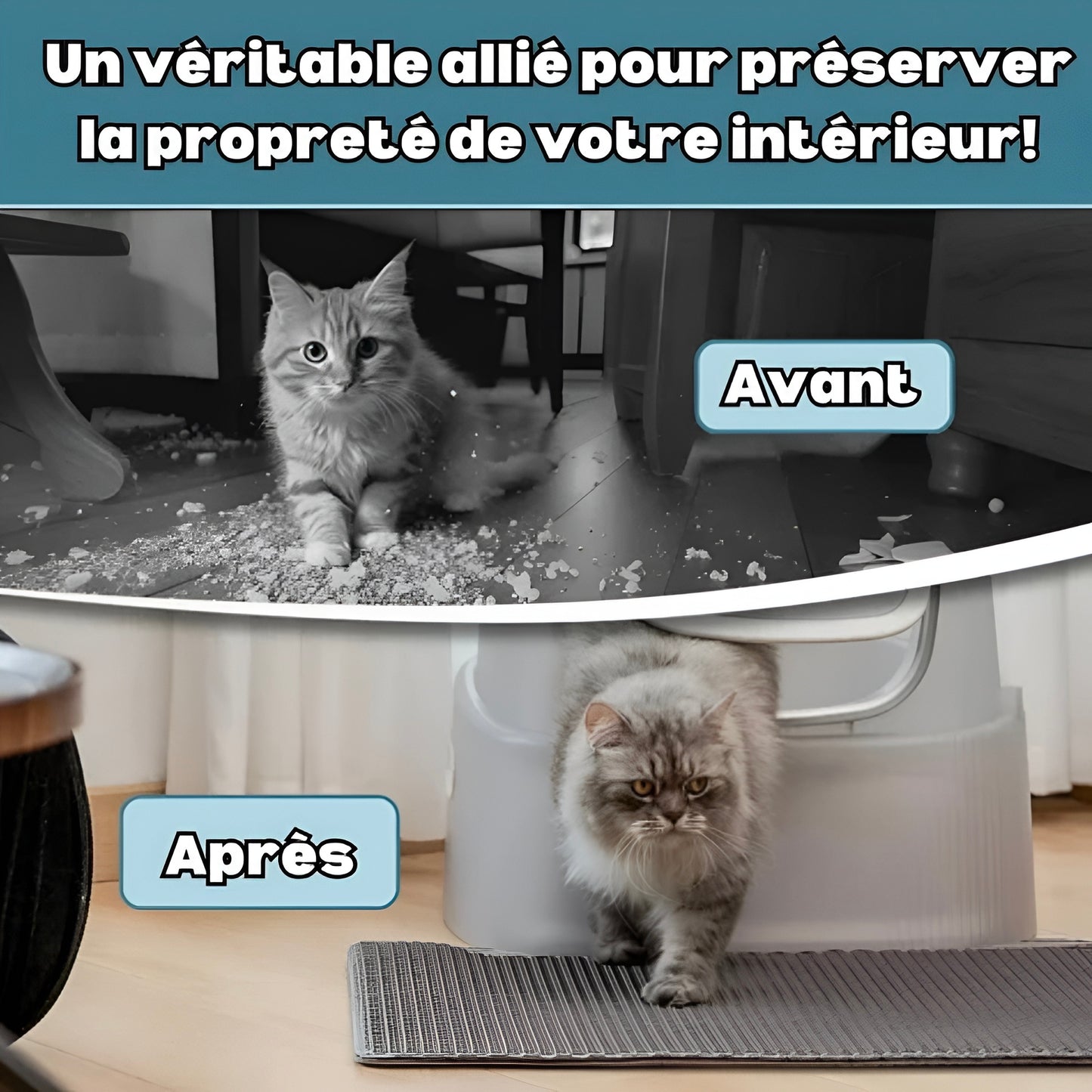 Tapis de litière double couche anti-dispersion